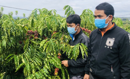 Nông dân - Vị thế người làm chủ nông nghiệp, nông thôn